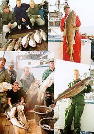 Havfiskeri Fisketure Lystfiskeri fisketegn sportsfiskeri fra Helsingør